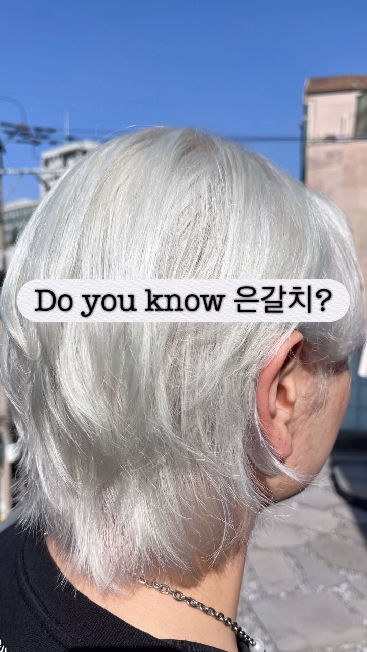 염색